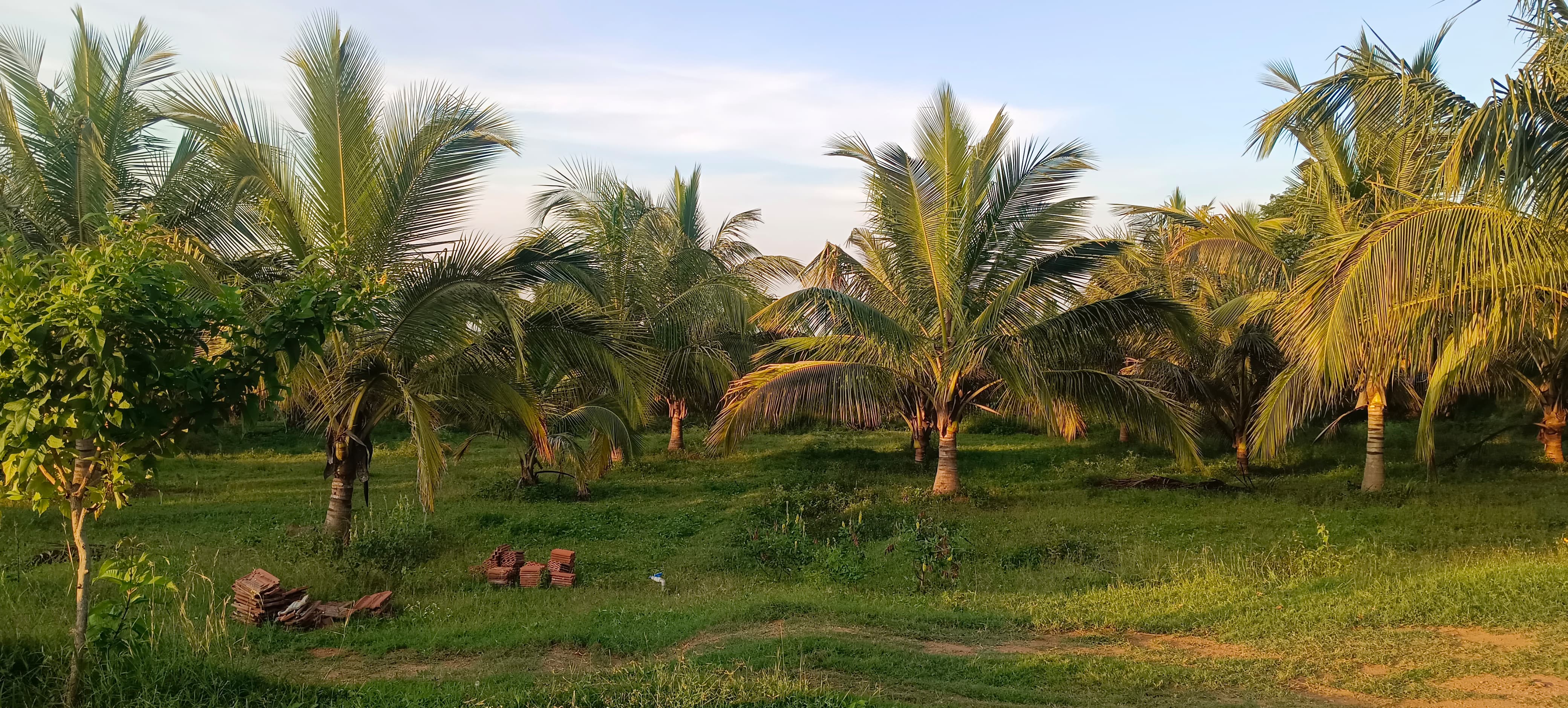 Niral farms banglore