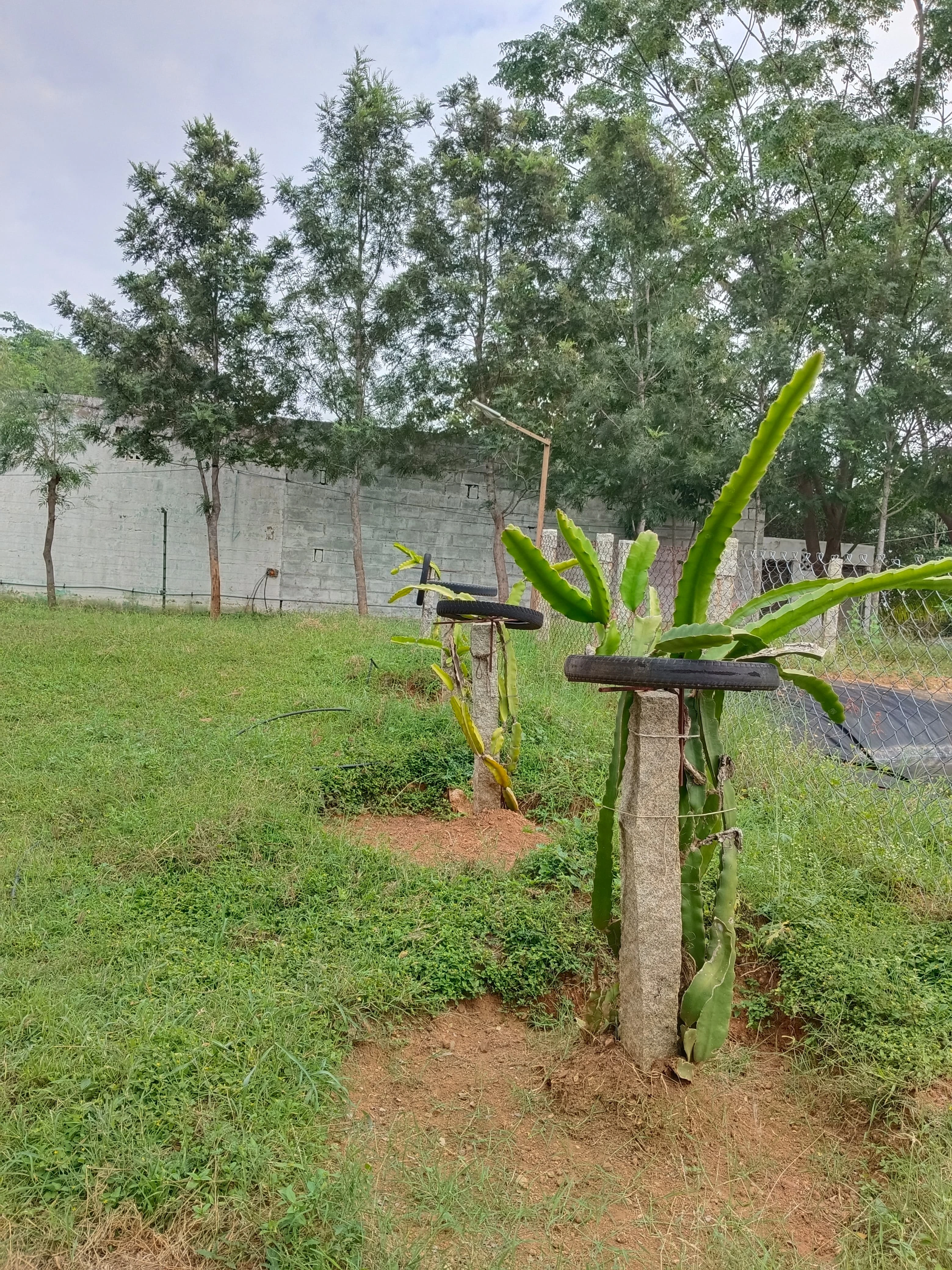 Eco-resort near Bangalore